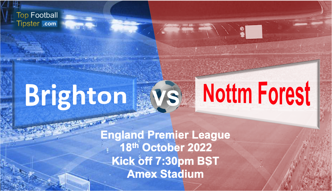 Brighton vs Nottm Forest: Preview & Prediction