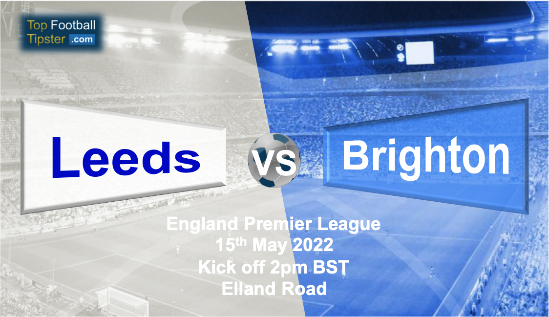 Leeds vs Brighton: Preview & Prediction