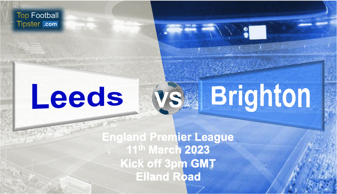 Leeds vs Brighton: Preview & Prediction